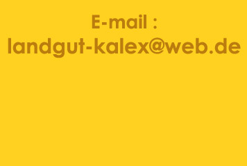 adres e-mail